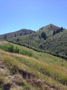 Mount Tauhara