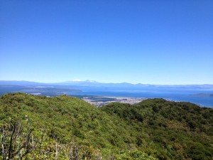 Tauhara view